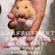 百度用户UID5462627524 hsjjsndiej 我超 别😰 的头像