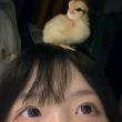百度用户UID5807107437 阿良良木历历子 黎平俺玉 的头像