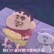百度用户UID1680942319 雪滑大狸猫 冲刺冲刺zzZ 的头像