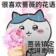 百度用户UID3487507016 蒹葭已逝lyh 要爱寄几 的头像