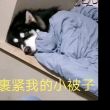 百度用户UID1312201367 淡墨素雅_ 素雅淡生。 的头像