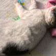 百度用户UID1012526985 地方uuu 犴、 的头像
