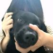 百度用户UID5446562177 莫啊莫love null 的头像