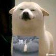 百度用户UID702147672 柱子1223 任驰骋 的头像