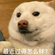 百度用户UID6411836553 攻击性拉满666 null 的头像
