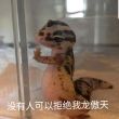 百度用户UID3887668181 无情的印卡机器 null 的头像