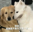百度用户UID3628141323 520幻隐 无语.m 的头像
