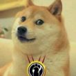 百度用户UID696590454 爱生活爱DOTA2 null 的头像
