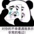 百度用户UID4608225180 无名的风枫峰 自闭feng💯 的头像