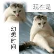 百度用户UID1054249619 牧之079 null 的头像