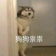 百度用户UID1597841681 发光的神秘物体 null 的头像