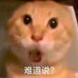 百度用户UID150850669 a287688830 大麦做的面包; 的头像