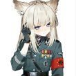 百度用户UID7045658818 佩兰诗涵 空军上将佩丽卡 的头像