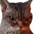 百度用户UID1434048401 秋名山的田园犬 超级😺😺怪 的头像