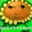 百度用户UID6694055043 牢焊忒 聋葵 的头像