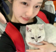 百度用户UID7082000404 蜡毛小xx null 的头像