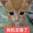 百度用户UID3930714102 null 糖醋排骨3w3 的头像