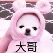 百度用户UID1296059105 发一份多一点 再给抱一下- 的头像