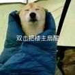 百度用户UID3404276412 伪物日常 御伽子爱说实话 的头像