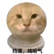 百度用户UID2723260767 無名520Y -拼多多 的头像