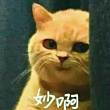百度用户UID1055348890 传说中的豪半仙 梨涡浅笑🌚 的头像