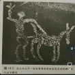 百度用户UID6088353434 有星宇无星怒 null 的头像