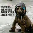 百度用户UID7057596044 咲鹰雌严父 null 的头像