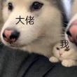 百度用户UID4277305467 猪柳蛋宝宝听话 null 的头像