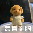 百度用户UID4760358867 身无分文的小黑 万年黄金崽 的头像