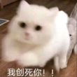 百度用户UID1320069625 染1478 抗压吧务团队1 的头像