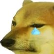 百度用户UID4714723902 mosterdoge 非洲黑酋长🌚 的头像