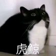 百度用户UID4087700464 晓声345 null 的头像