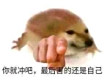 百度用户UID1298045447 vaddd11 null 的头像