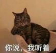 百度用户UID3028698380 猫猫大法好mmm 东莞文bb😂 的头像