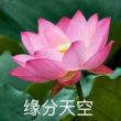 百度用户UID6458207828 感性的寒先生 维生素b2 的头像