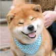 百度用户UID2337557067 你蔡的像只坤 被你发现啦♬ 的头像