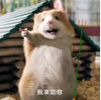 百度用户UID884666733 混沌丶王子 只是小仓鼠 的头像