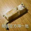 百度用户UID3904217208 睿翼identify 大恶麰😳😳 的头像