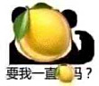 百度用户UID702139166 起泥煤的名字 🐎踏祁连山河动 的头像