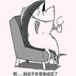 百度用户UID393586974 pwb94032148 -青天照影- 的头像