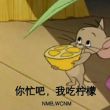 百度用户UID1105914302 岳母发货啊 null 的头像