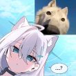 百度用户UID6489384214 null 亻尔女子zjjs 的头像