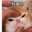 百度用户UID6315164202 希望吧q 奶油、, 的头像