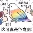 百度用户UID6770499003 梓笙笙之歌 ttssss 的头像