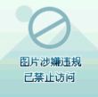 百度用户UID728738563 Zephyr100 Zephyr 的头像