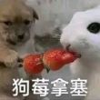 百度用户UID5454432287 收拾书包不是那 不要随便禁止◆ 的头像