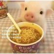 百度用户UID3546115056 jsjkskakannxnx 魏品 的头像
