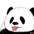 百度用户UID1258537531 打工SS套装 最爱熊猫头º 的头像