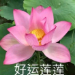 百度用户UID902894039 我_是_木头人 null 的头像