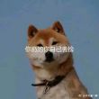 百度用户UID2767081816 真的吗j 令人智息🐒 的头像